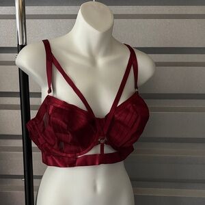 Torrid Curvey Red Strappy Bra, Size 2